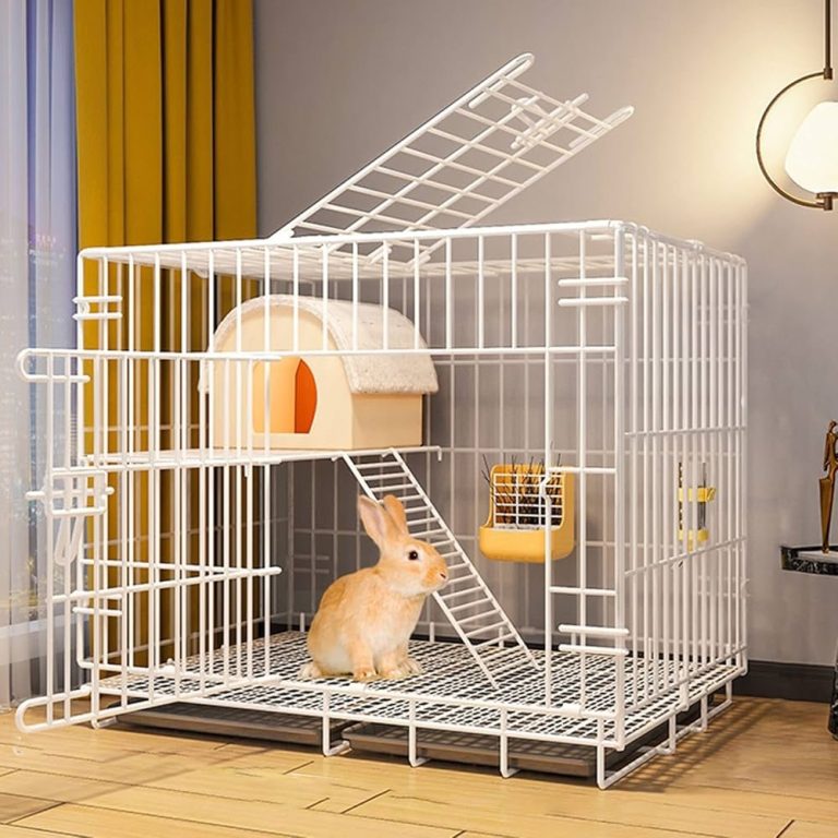 rabbit-cage_1759281233