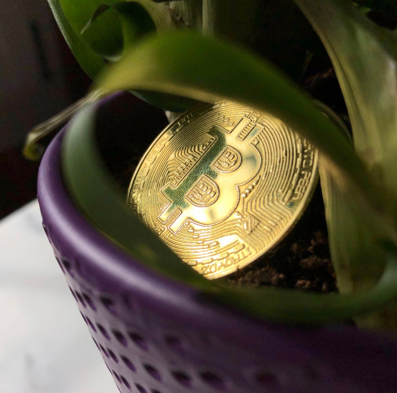 Bitcoin, money, cryptocurrency — How BTC Is Redefining the Future of Money