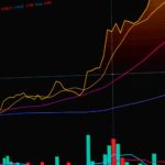Shell stock rise