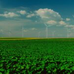 renewable power stock