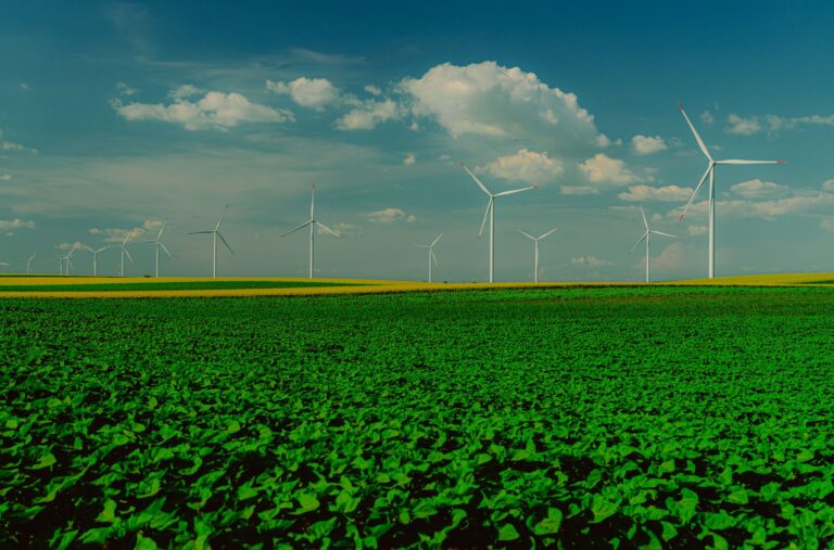 renewable power stock