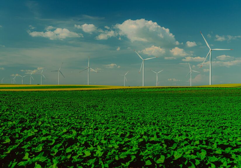 renewable power stock