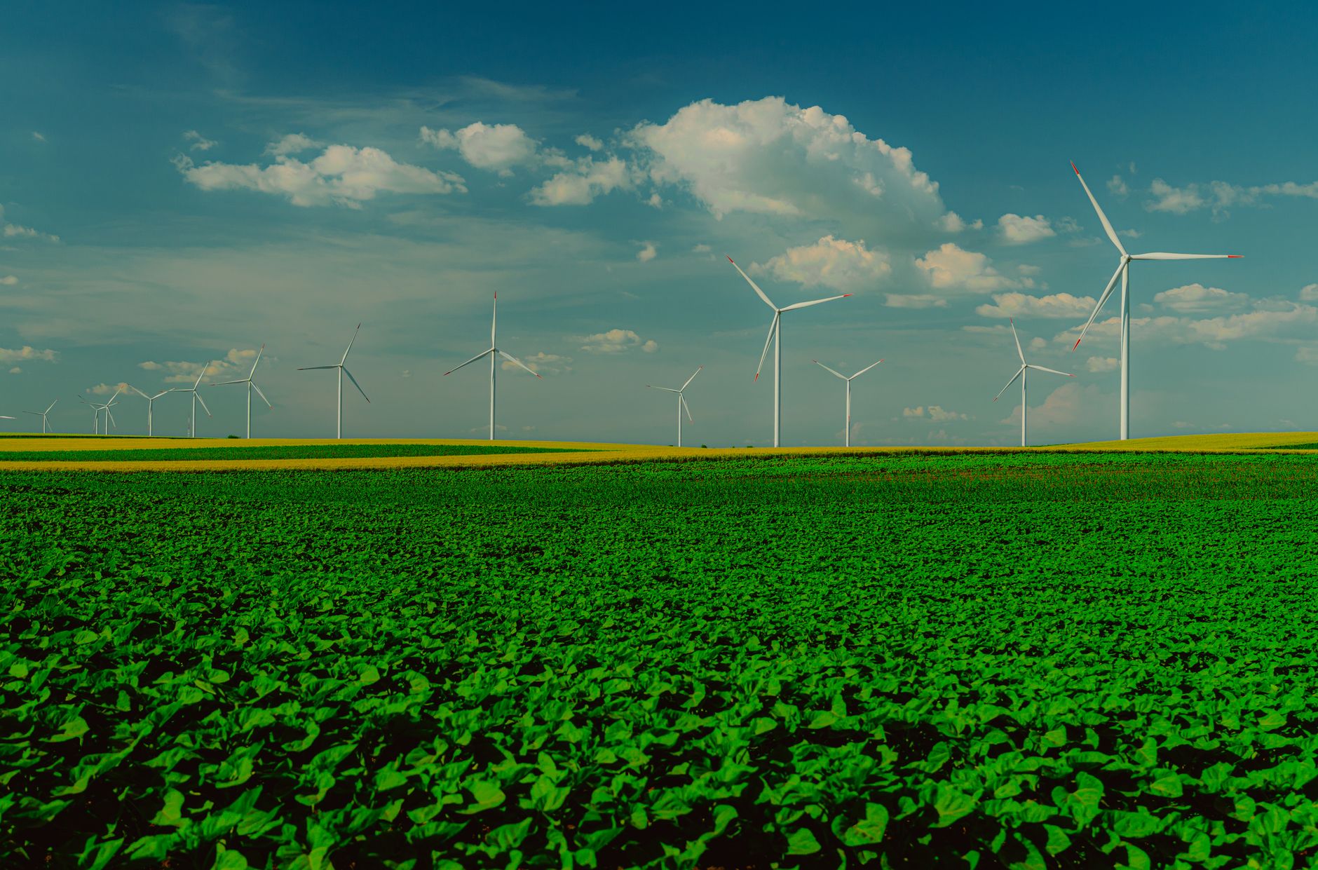 renewable power stock